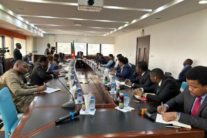 India conquers the Cameroon market : a new era of economic cooperation