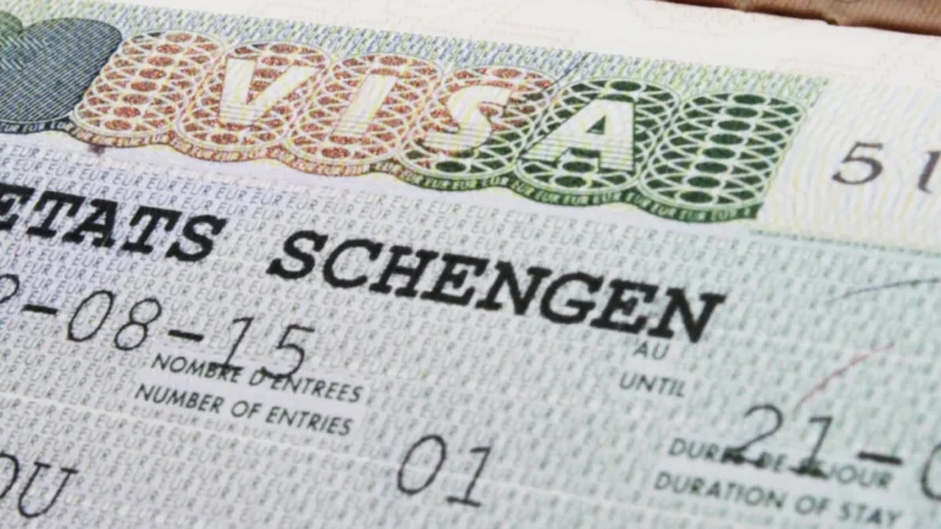 Africa: the economic impact of Schengen visa denials for african applicants