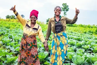 Ivory Coast and Ghana Launch a Cross-Border Agro-Industrial Park to Transform West Africa’s Food Economy