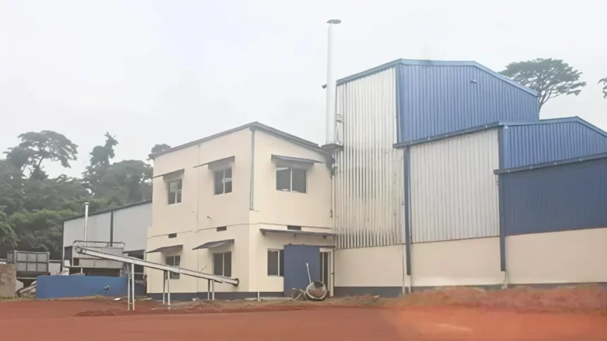 SOTRAMAS Sangmelima: Governance and Sustainability Challenges in Cameroon’s Cassava Industrialization