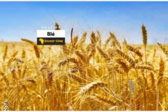 dossier blé