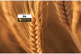 dossier sur le Blé