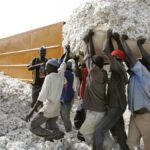 economie coton mali. travailleurs migrants maliens