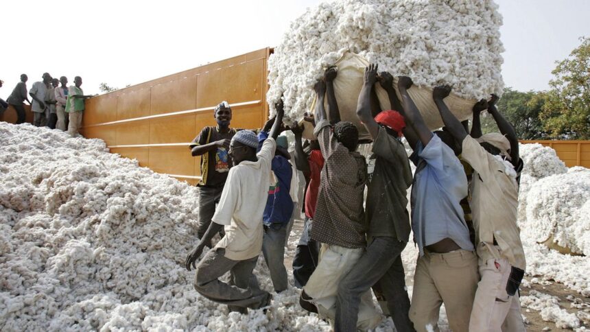 economie coton mali. travailleurs migrants maliens