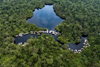 Bassin Congo forêts
