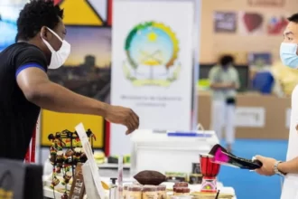 secteur prive afrique