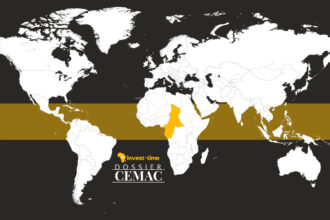 Poids économique, la zone Cemac peine à transformer ses matières premières