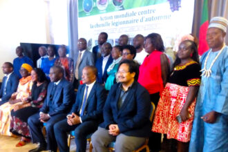 Chenille légionnaire d'automne