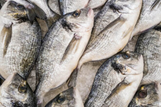 importations poissons en afrique