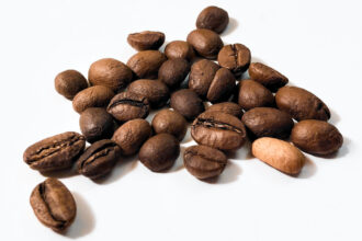 La recette pour faire face aux changements climatiques dans la culture du cacao et du café au Cameroun