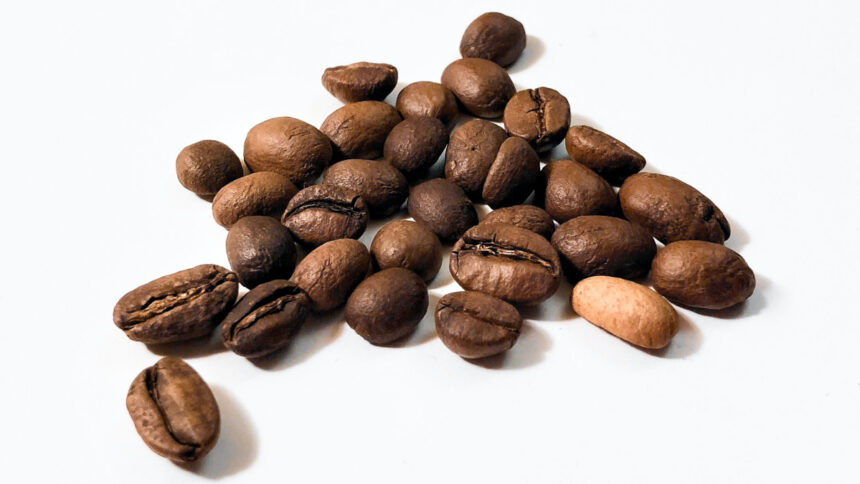 La recette pour faire face aux changements climatiques dans la culture du cacao et du café au Cameroun