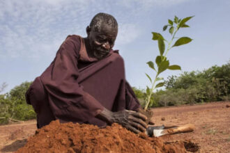 insécurité alimentaire