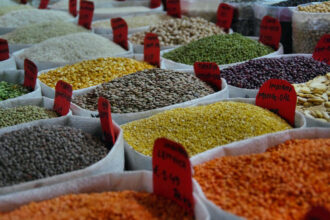 Afrique, la manne des semences améliorées échappe encore aux Africains