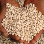 Embargo au Niger, le marché des haricots paralysé en Afrique