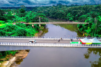 Pont reliant le Cameroun au Nigeria