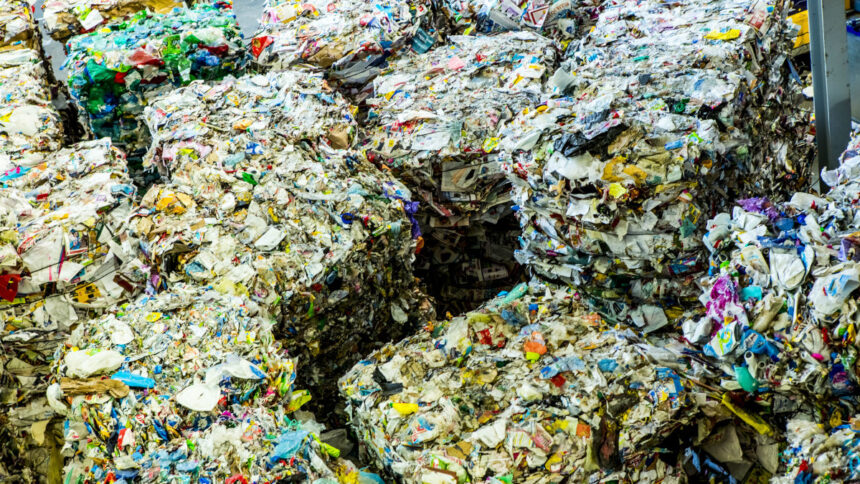 business recyclage déchet afrique