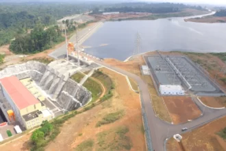 Barrage Memve'ele, EDC