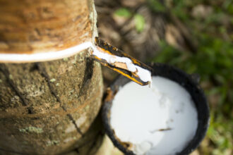 Le caoutchouc naturel : des unités de transformation locale accroissent la valeur ajoutée en Afrique