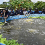 Aquaculture Cote d'Ivoire