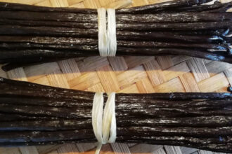 les secrets de la vanille bourbon de Madagascar, premier producteur mondial