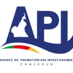 api cameroun