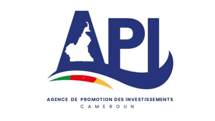 api cameroun