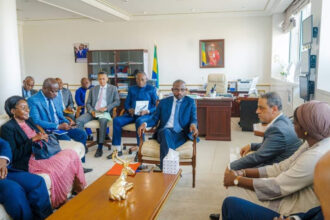 MFB International au Gabon