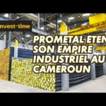 Prometal annonce deux grandes nouvelles usines au Cameroun pour l'aluminium et les minerais de fer