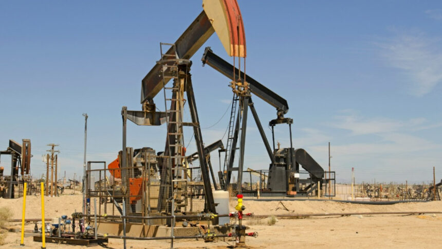 Wildcat Petroleum PLC