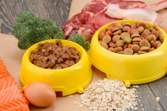 aliments pour animaux