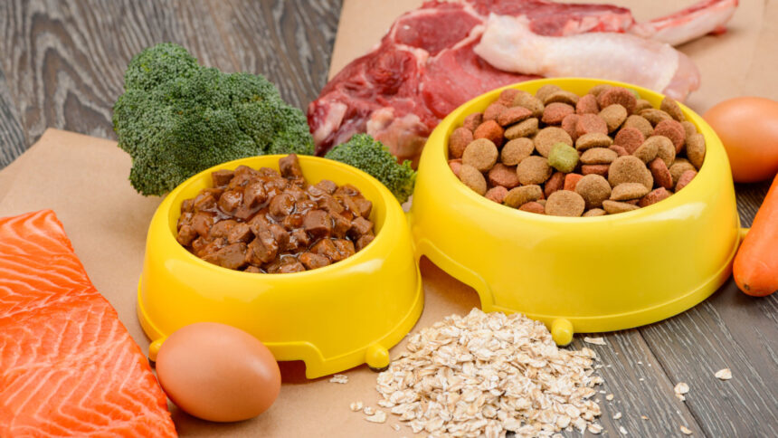 aliments pour animaux