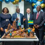 fer de belinga gabon