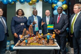 fer de belinga gabon