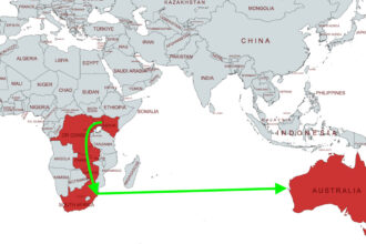 L'itinéraire proposé pour le nouveau câble sous-marin à fibre optique de Google traverse l'Afrique australe et l'océan Indien. (Image via MapChart avec modifications)