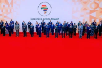 Les 50 accords signés lors du premier sommet Corée du Sud - Afrique