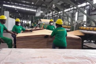 industrie bois gabon