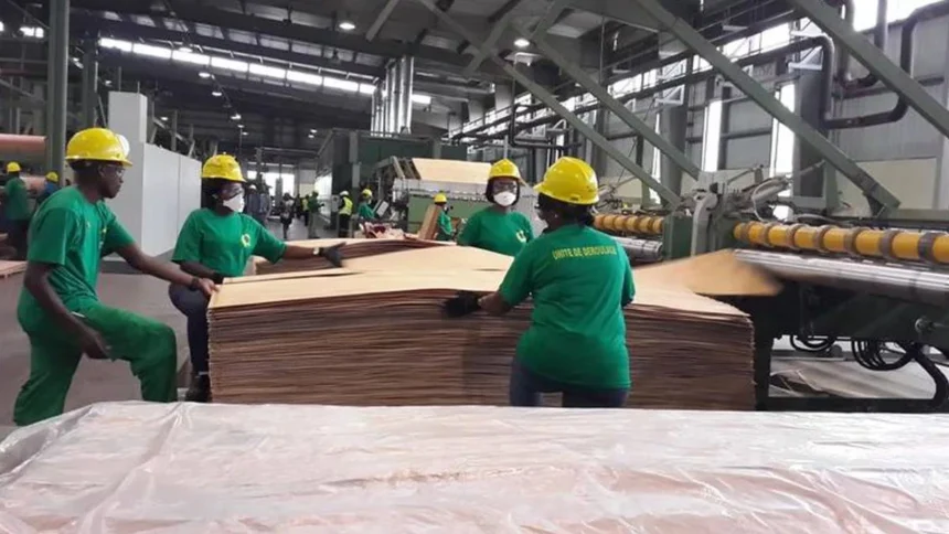 industrie bois gabon