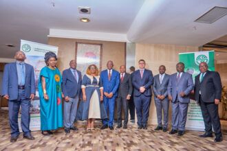 Cameroun : les chiffres consolidés des états financiers de la Société camerounaise des dépôts pétroliers (SCDP) en 2023