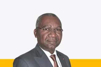 Charles Booto À Ngon, DG Anor Cameroun