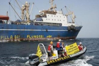 Afrique : la pêche illégale fait perdre aux Etats des milliards de dollars et des milliers d'emplois
