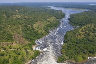 Les chutes Murchison ou chutes Kabarega, sur le Nil, dans le parc national de Murchison Falls en Ouganda, entre le lac Kyoga et le lac Albert. © Guenterguni/Getty Images