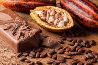 Afrique : comment l'offre mondiale du cacao décline en impactant le marché et les produits dérivés