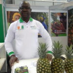 Côte d'Ivoire : mangue, ananas, papaye... pourquoi augmenter la force de transformation locale des fruits