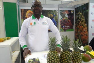 Côte d'Ivoire : mangue, ananas, papaye... pourquoi augmenter la force de transformation locale des fruits