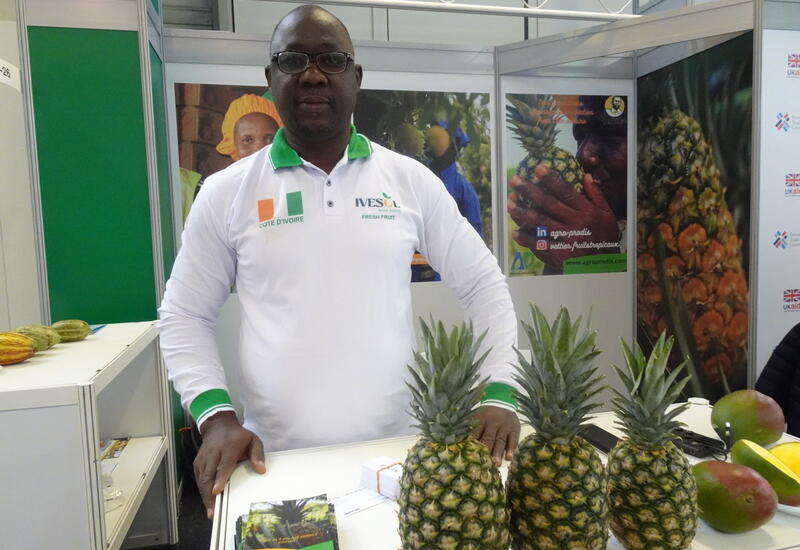 Côte d'Ivoire : mangue, ananas, papaye... pourquoi augmenter la force de transformation locale des fruits