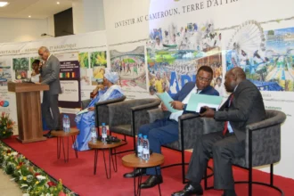 L’offensive indienne sur le marché camerounais