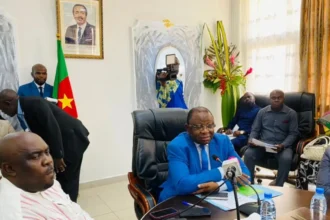 campagne cacaoyère 2024-2025 au Cameroun