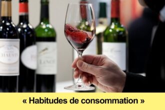 Côte d'Ivoire : le top de l'importation du vin en Afrique et la question de la production locale