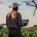 Pourquoi les pays africains doivent consacrer davantage de fonds dans la recherche agricole