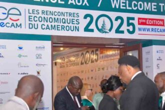Patronat : le plaidoyer de Tony Elumelu aux Rencontres économiques du Cameroun